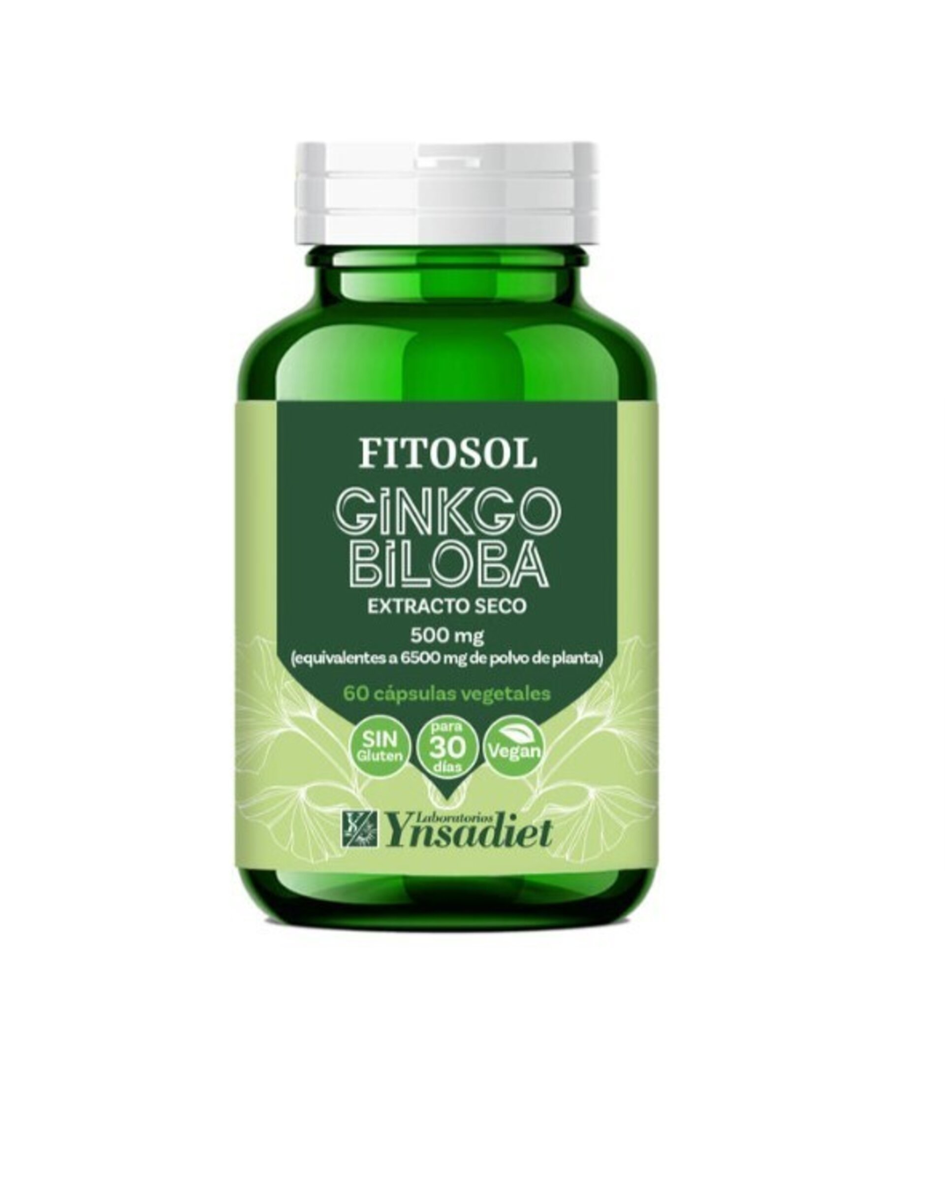 Ginkgo Biloba 60 caps Fitosol - 1